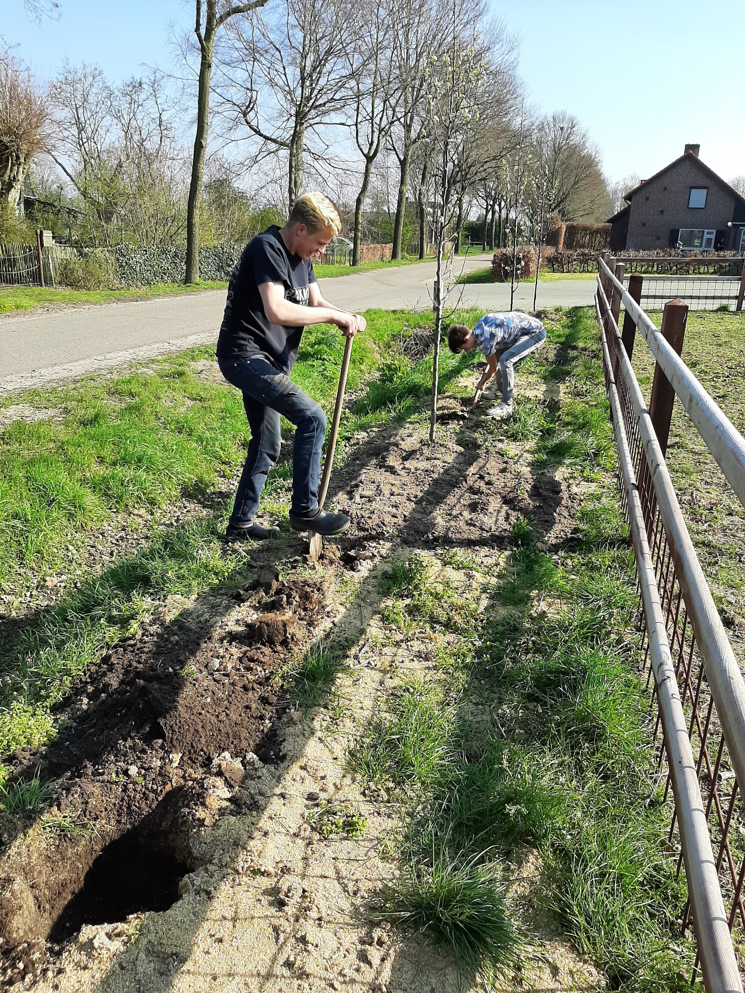 Lente-aanzicht erfbeplanting