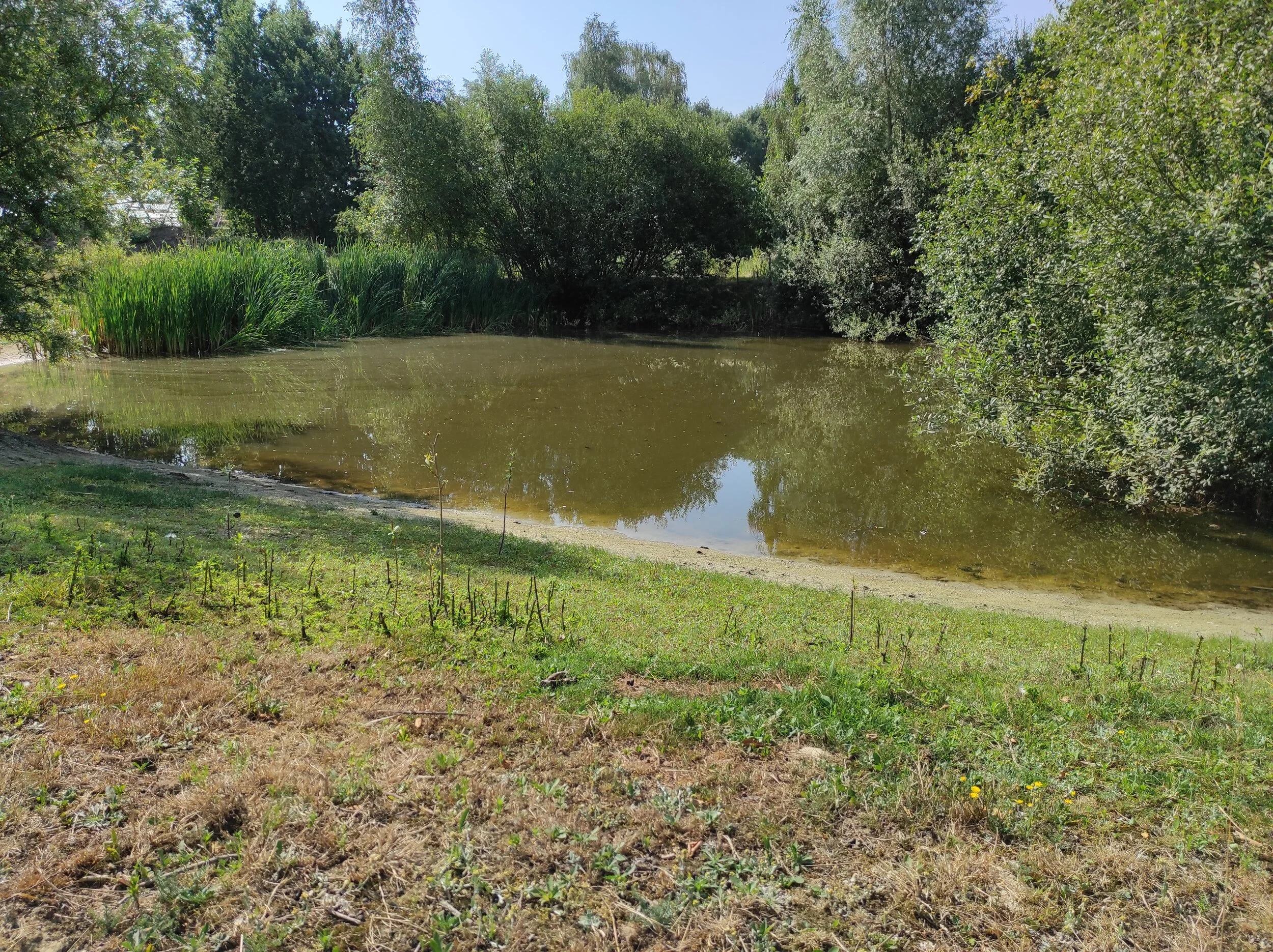 Natuurlijke erfbeplanting