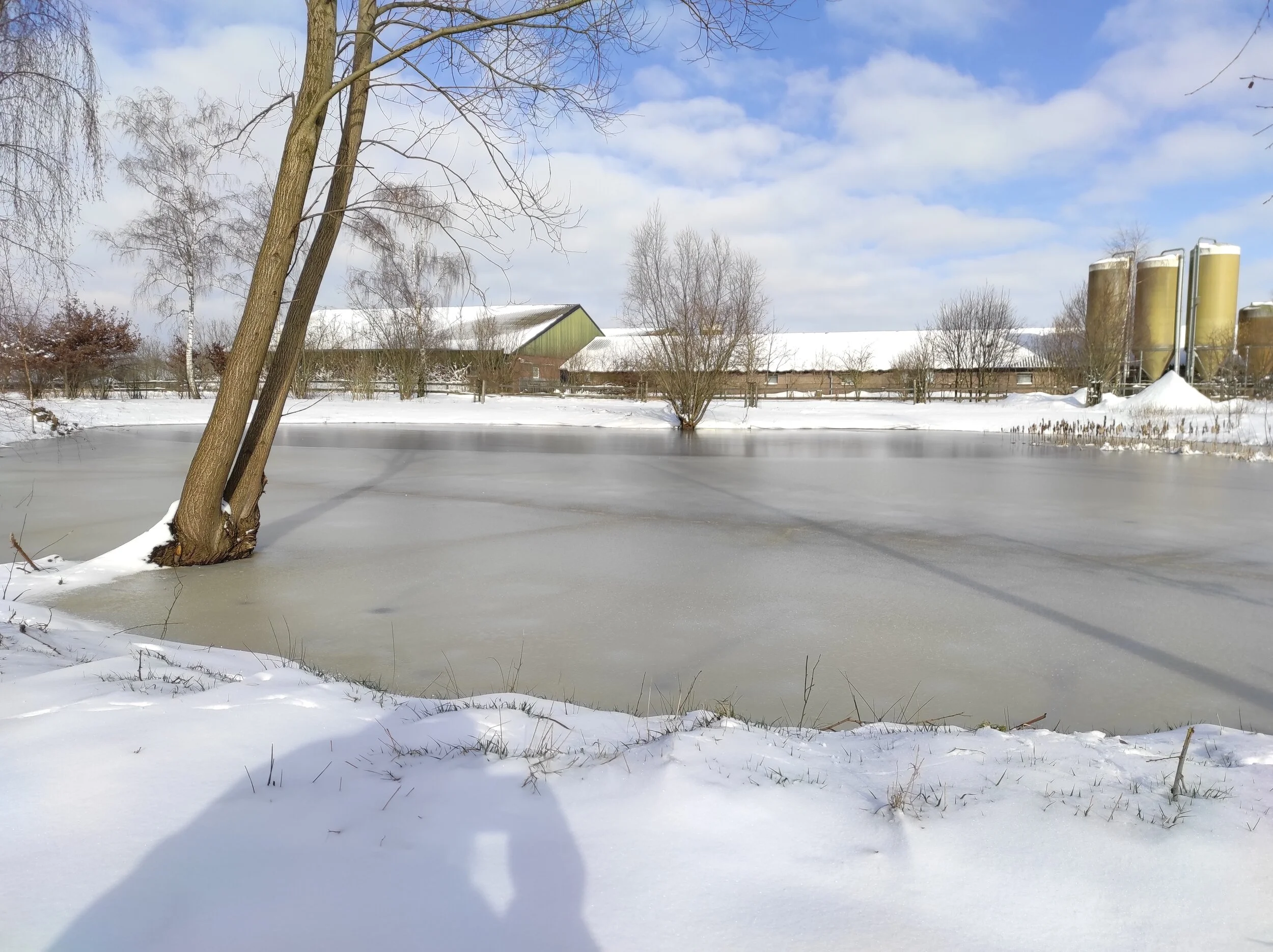 Winterlandschap rondom het bedrijf