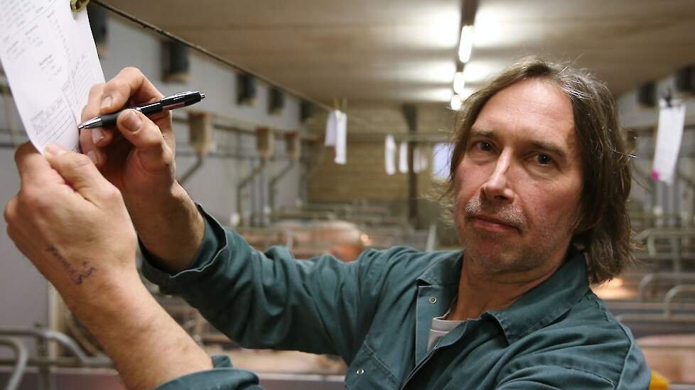 column 4: Muziek voor varkens